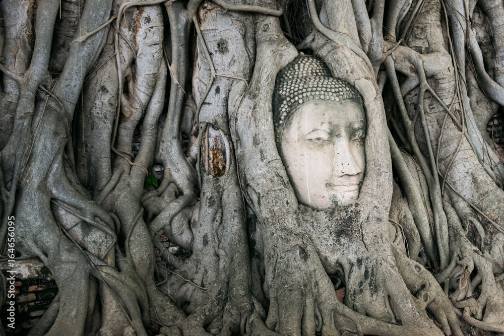 Head of sand stone buddha in the tree roots, wat mahathat ayutthaya in thailand. Head of sand stone buddha in the tree roots, wat mahathat ayutthaya in thailand.