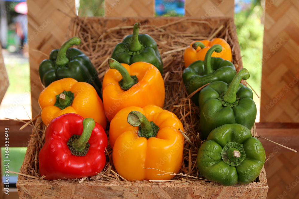 Red, Yellow, Green Paprika. Wooden crate with bell peppers. Red, Yellow, Green Paprika. Wooden crate with bell peppers.