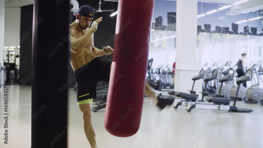 Boxer training punching bag