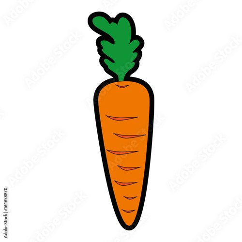 isolated cute carrot icon vector illustration graphic design