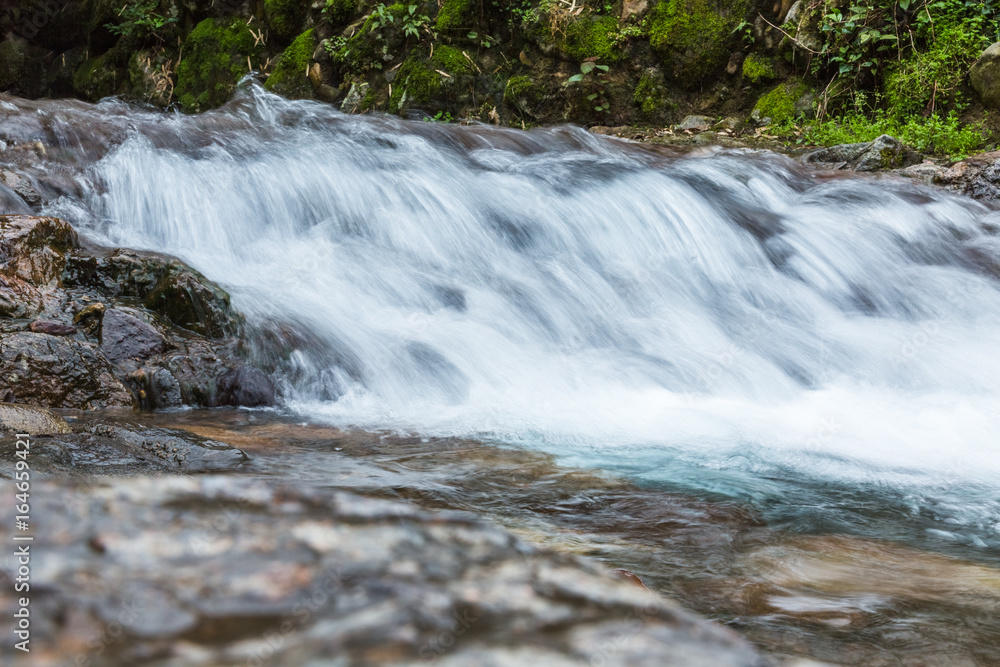 Fototapeta premium Stream Flowing Through Rocks in forest.