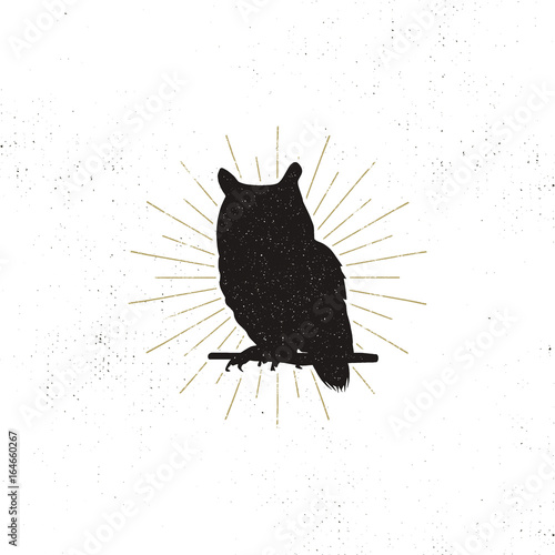 Owl silhouette shape isolated on white background. Black animal icon. Solid template with sunbursts. Stock vector isolated.