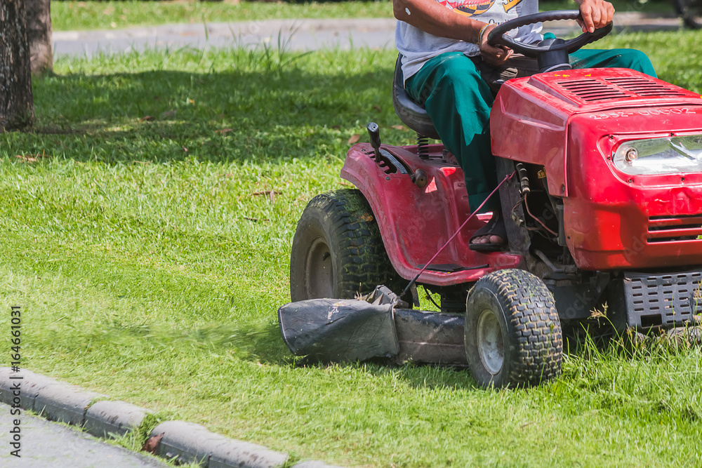 Obraz premium The gardener is using a lawn mower