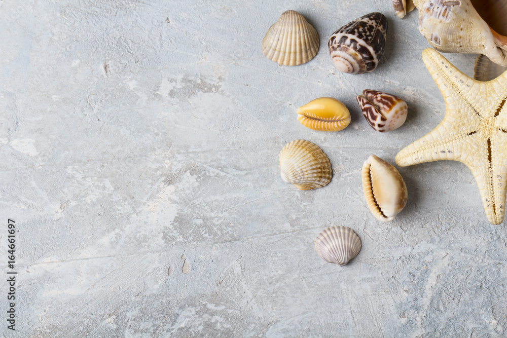 Seashells Shell stones Vintage background
