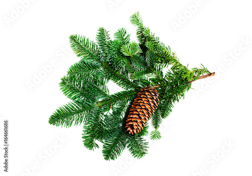 Fir branch with cone on a white background