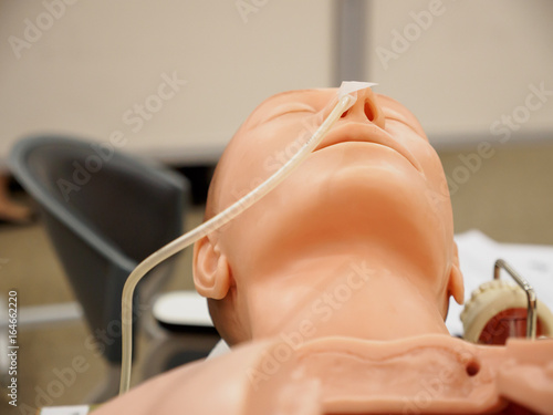 Close-up detail of a training dummy with a nasogastric (NG) tube secured with tape in the right nostril. Healthcare and education concept.