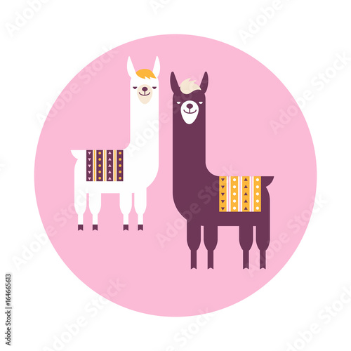 Vector illustration ethnic sticker or label of South America with lamas. Flat design style.