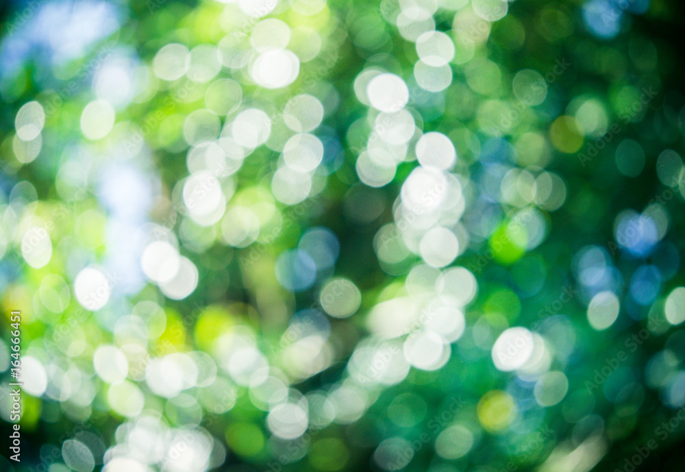 Obraz na plátně Nature bokeh light background