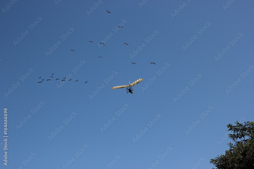 Le Puy du fou