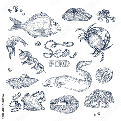Seafood Monochrome Sketches Set