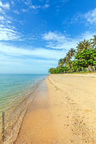Fototapeta Naklejka Na Ścianę i Meble -  Tropical Thong Tanod Beach on Koh Samui in Thailand.