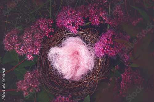 digital backdrop background for newbornphotographers