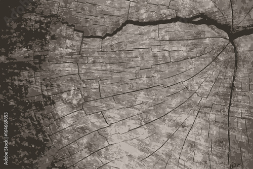 Vector grunge texture background.Natural wooden texture backdrop.