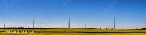 Wind turbines in a wheat field with blue sky 