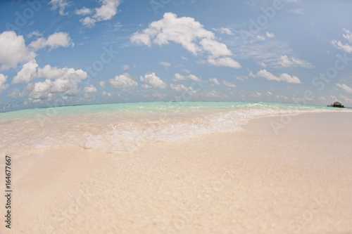 Beautiful white beach with palm trees in the Maldives