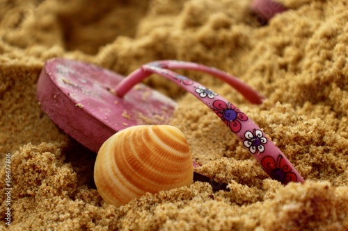 Tongue et coquillage dans le sable