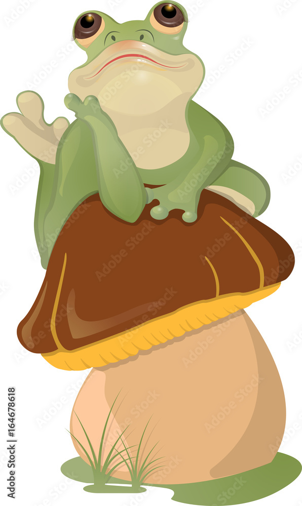 Frog, sitting on a mushroom. Isolated on white background. Frog, sitting on a mushroom. Isolated on white background.