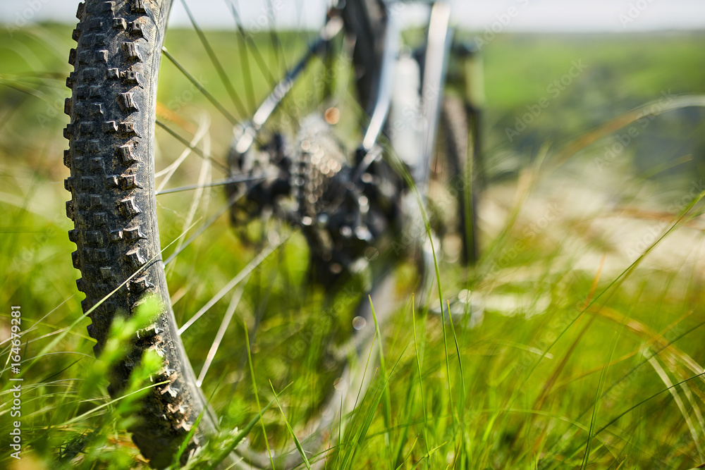 Naklejka premium Close-up of detail of the mountain bicycle on the green grass.