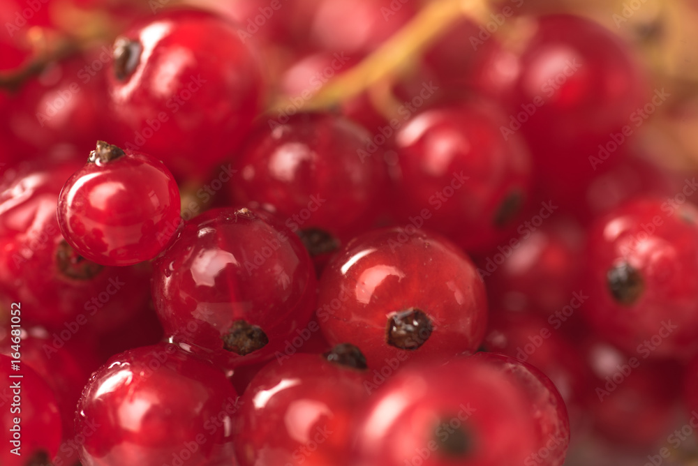Red currant berries close up. Macro.