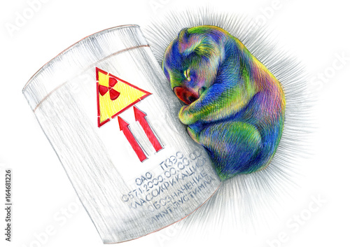 Photography Colored pencils drawing sleepy rainbow koala bear acid