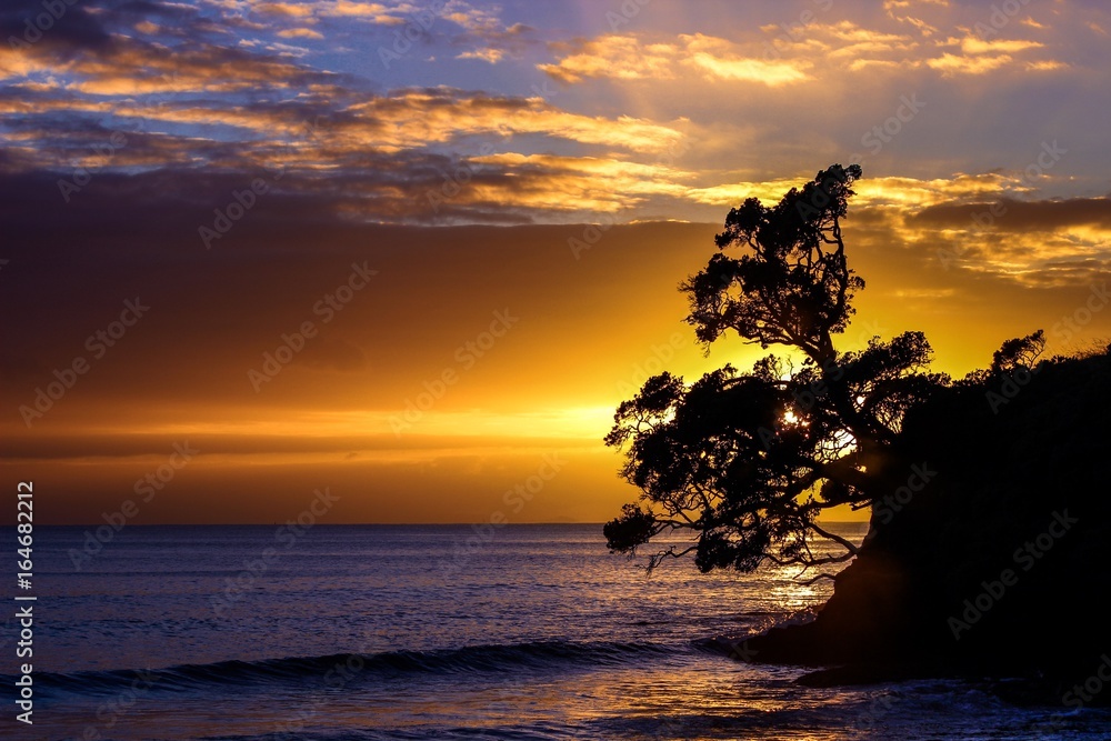 Colourful Sun rise at Waipu Cove, New Zealand