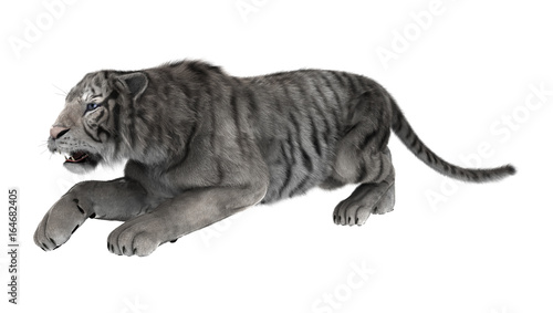 Fototapeta Naklejka Na Ścianę i Meble -  3D Rendering White Tiger on White