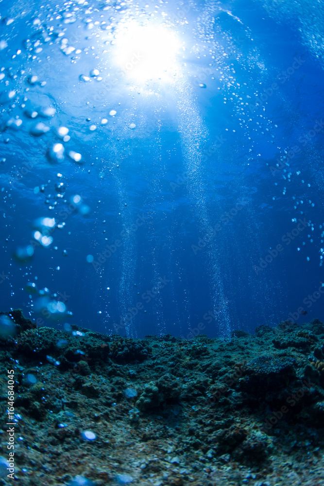 Fototapeta premium Rising Bubbles from Reef - Deep Depth