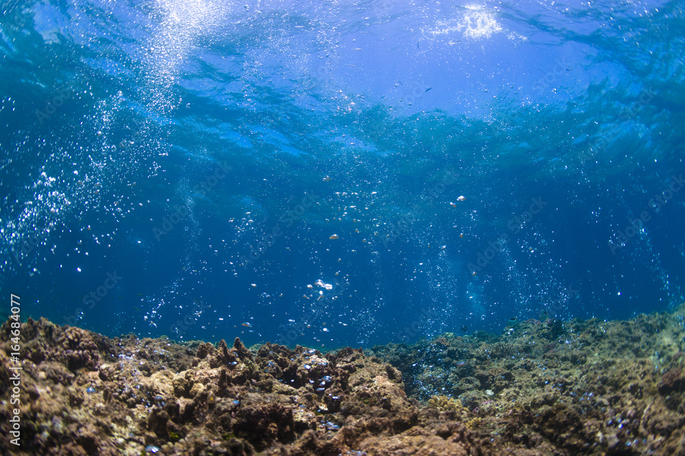 Rising Bubbles from Reef - Shallow Depth Rising Bubbles from Reef - Shallow Depth
