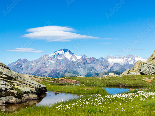 Green grass and mountain lake in Valtellina
