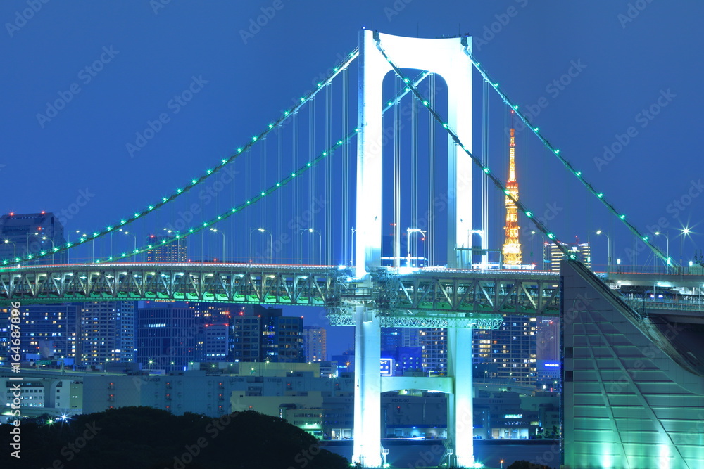 Fototapeta premium Tokyo night view