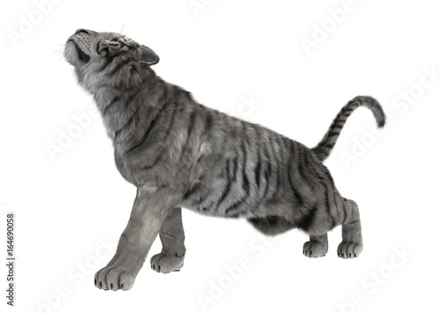 Fototapeta Naklejka Na Ścianę i Meble -  3D Rendering White Tiger on White