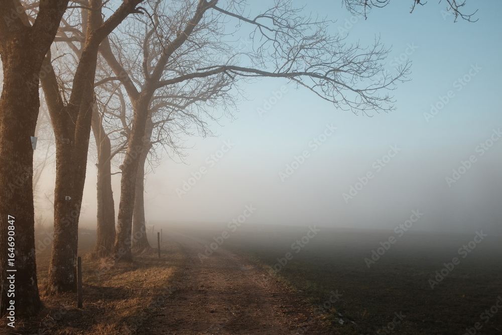 Lever de soleil dans le brouillard