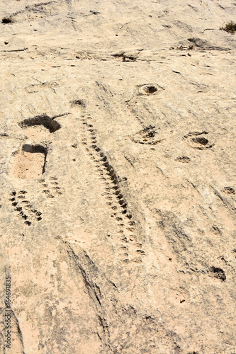 Ancient dot carvings at Jebel Jassassiyeh site in Northern Qatar.