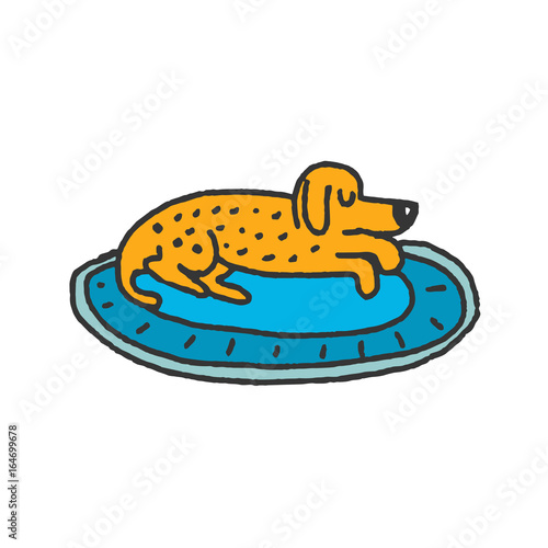 dog on rug sleeps isolated. Home pet dream