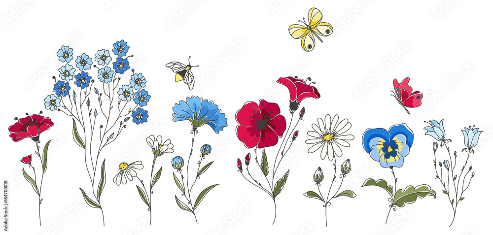 Wild flowers vector drawing set. Isolated flowers, leaves and insects. 