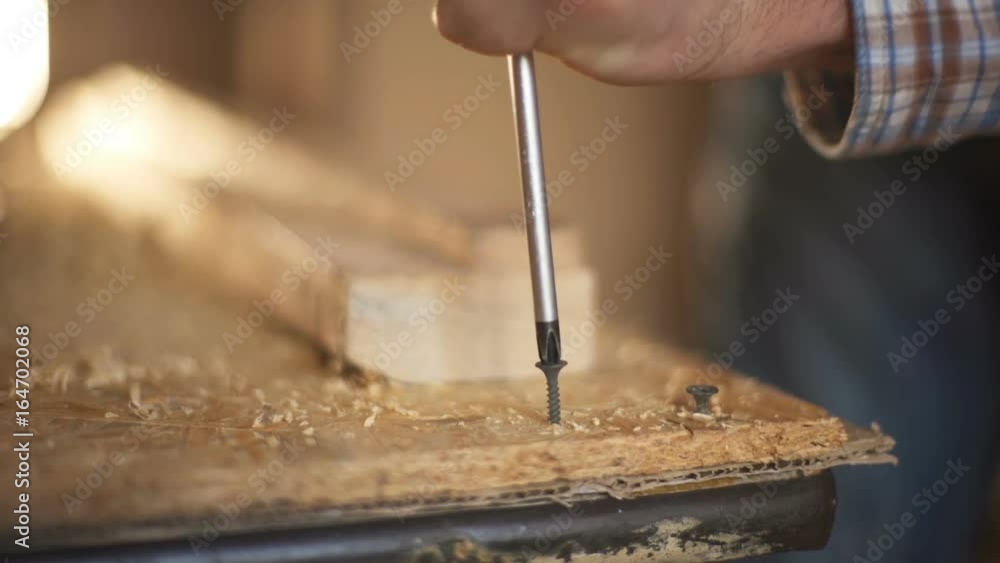 The master spins a screw into a tree with a screwdriver The master spins a screw into a tree with a screwdriver