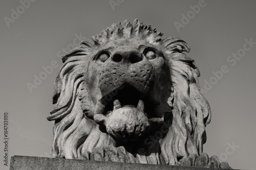 Lion of Chain Bridge in Budapest