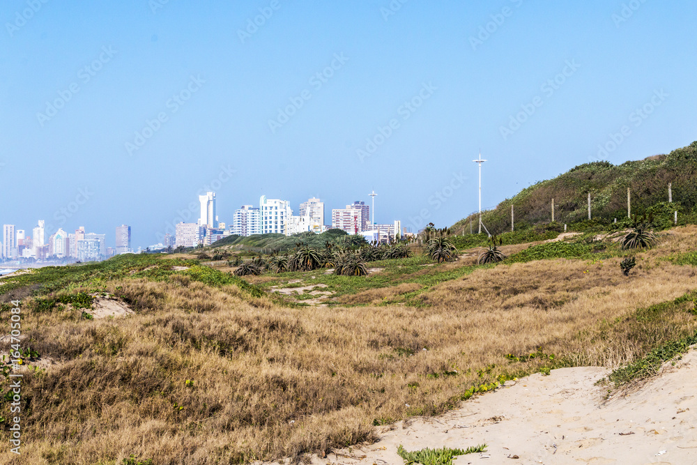 Coastal Dune Vegetation agains Blue Sky and City Skyline Coastal Dune Vegetation agains Blue Sky and City Skyline