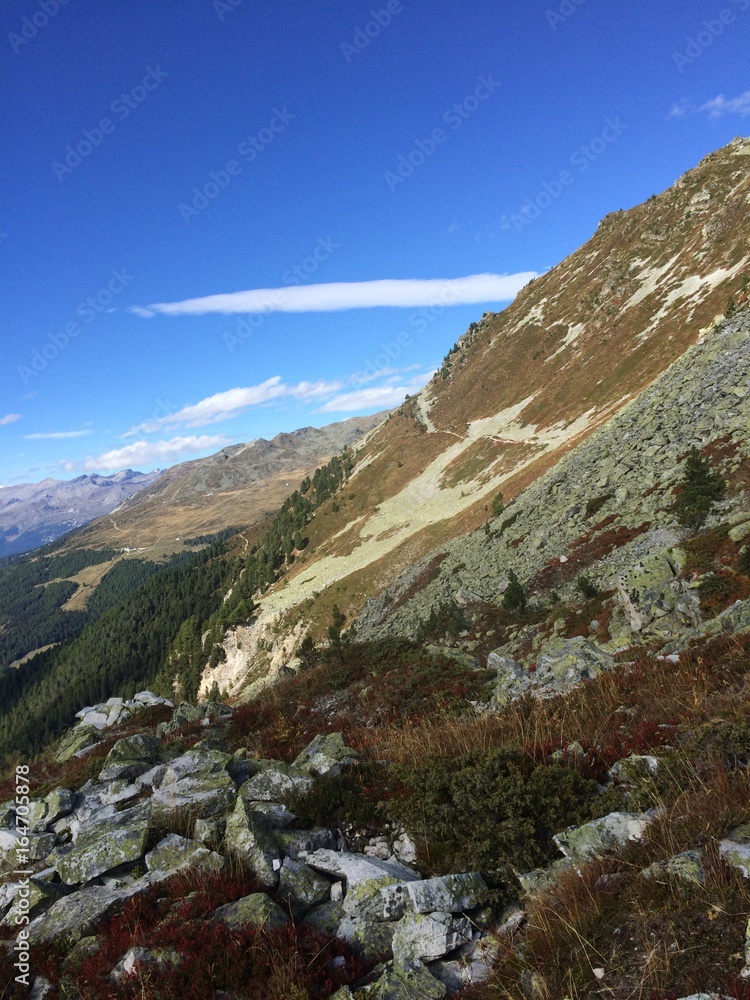 Fototapeta premium alps