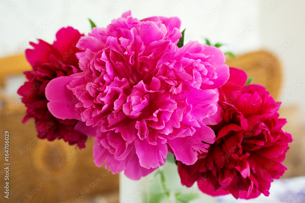 Bouquet of flowers of a peony burgundy and pink. Bouquet of flowers of a peony burgundy and pink.