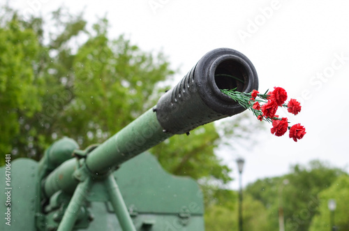 Red flowers stick out of a gun barrel photo