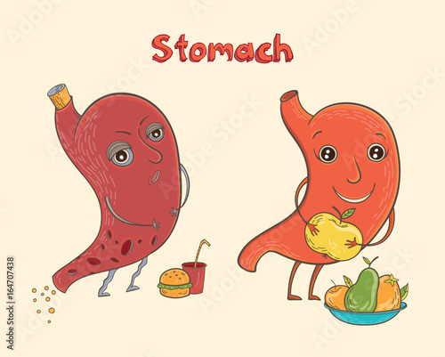 Cartoon human stomach character