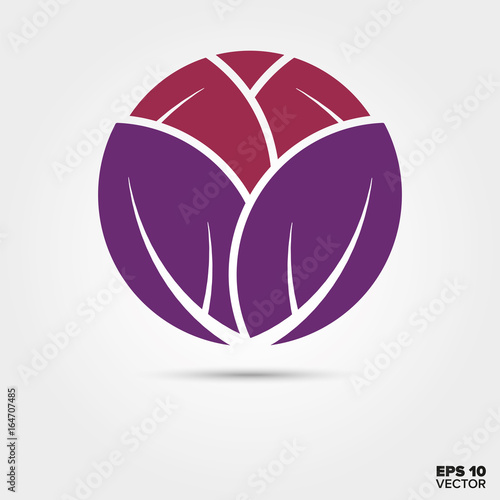 red cabbage vector icon
