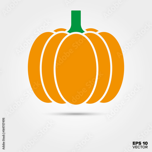 pumpkin vector icon