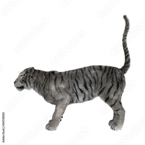 Fototapeta Naklejka Na Ścianę i Meble -  3D Rendering White Tiger on White