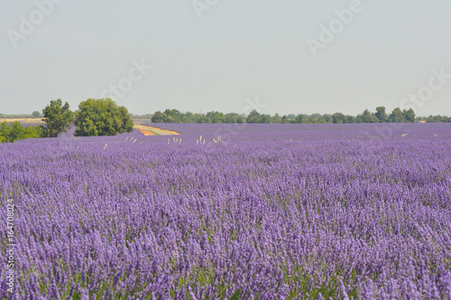 tourisme en France