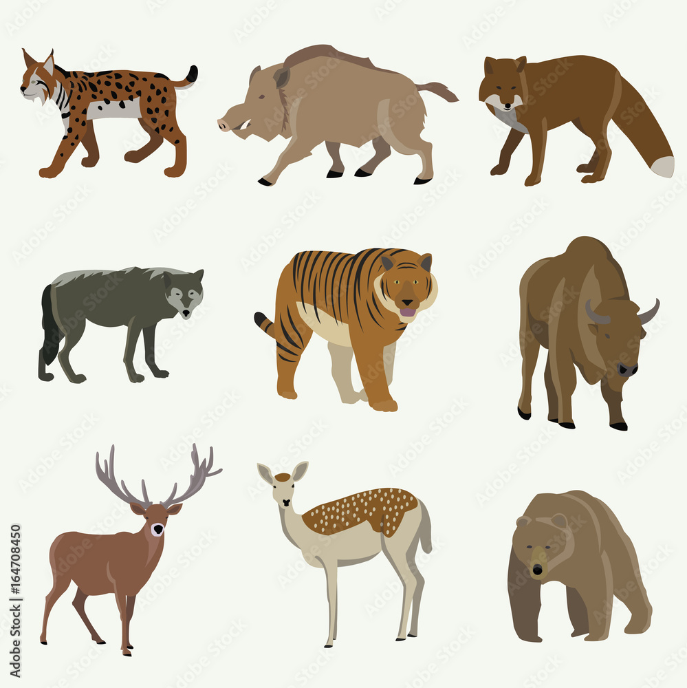 Obraz premium Set of forest animals. Bear, bison, wild boar, fox