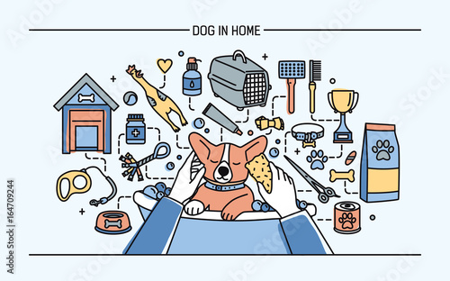 Dog in home horizontal banner with pet toys, meds and puppy meals. Horizontal colorful line art vector illustration.