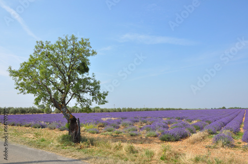 tourisme en France