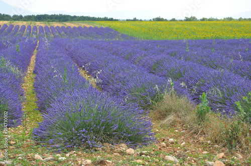 tourisme en France